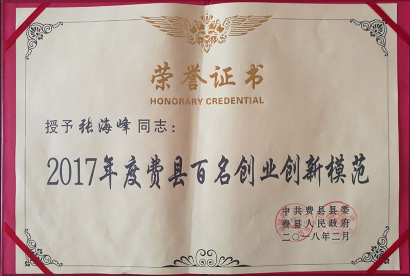 2017年度費(fèi)縣百名創(chuàng)業(yè)創(chuàng)新模范-1.jpg