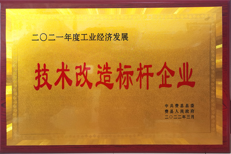 2021技術改造標桿企業(yè)-1.jpg